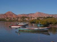 7438 Mulege 